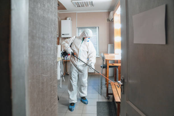  Rutland, VT Mold Removal Pros
