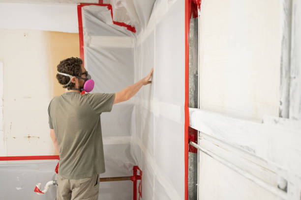 Mold Remediation for Rental Properties in Rutland, VT