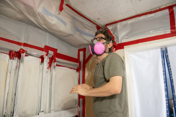 Best Water Damage & Mold Remediation  in Rutland, VT