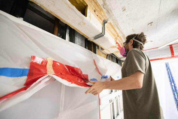 Best Emergency Mold Remediation  in Rutland, VT