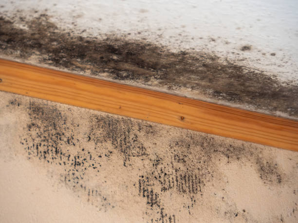 Best Indoor Air Quality Assessment  in Rutland, VT